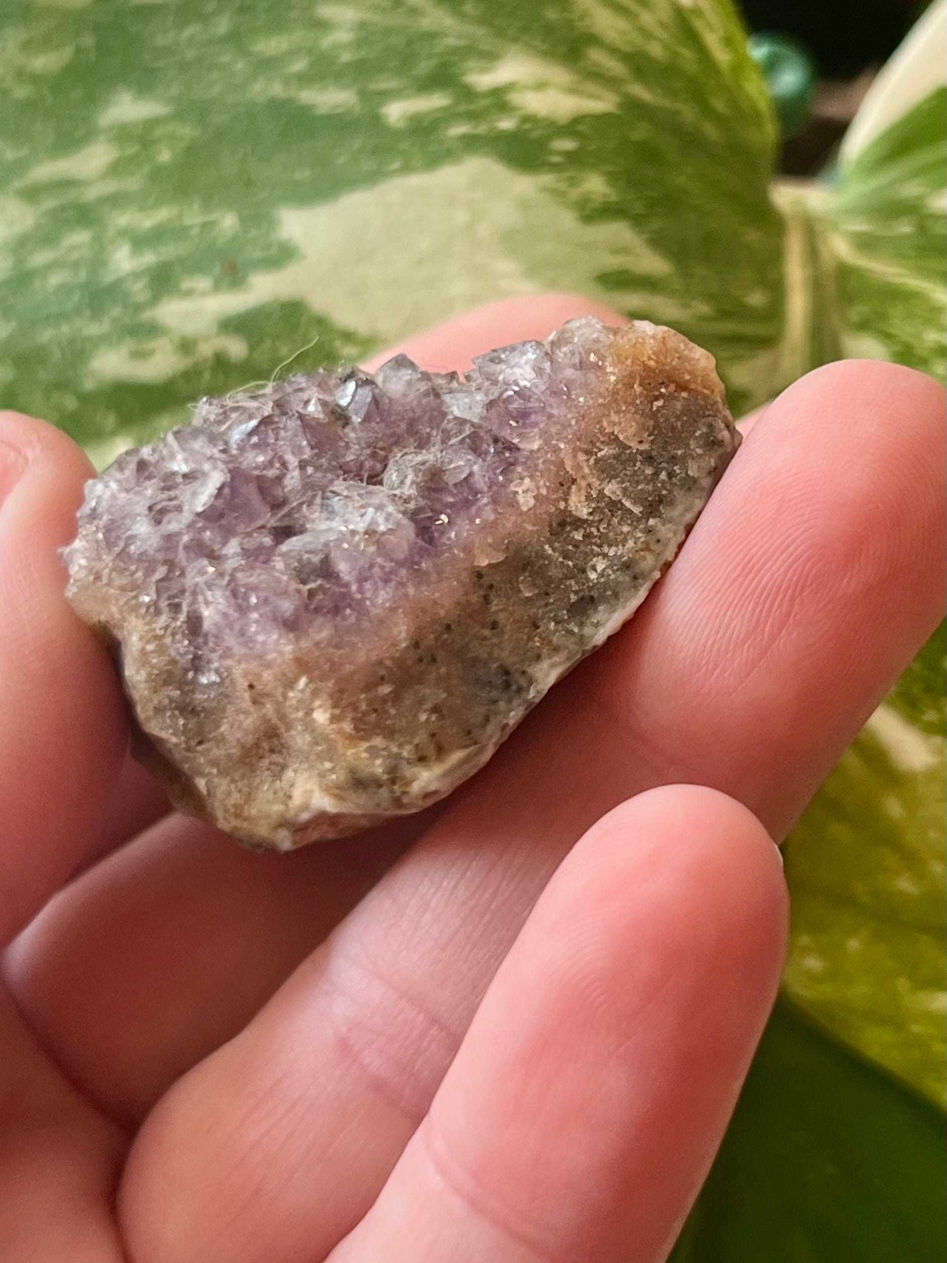 Raw Amethyst Druzy Clusters
