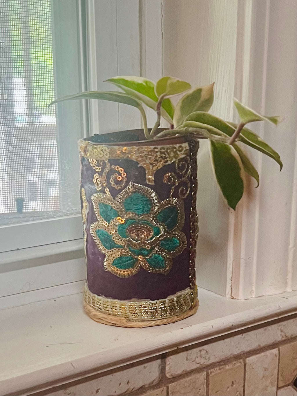 3” Hoya Krimson Queen + upcycled Planter