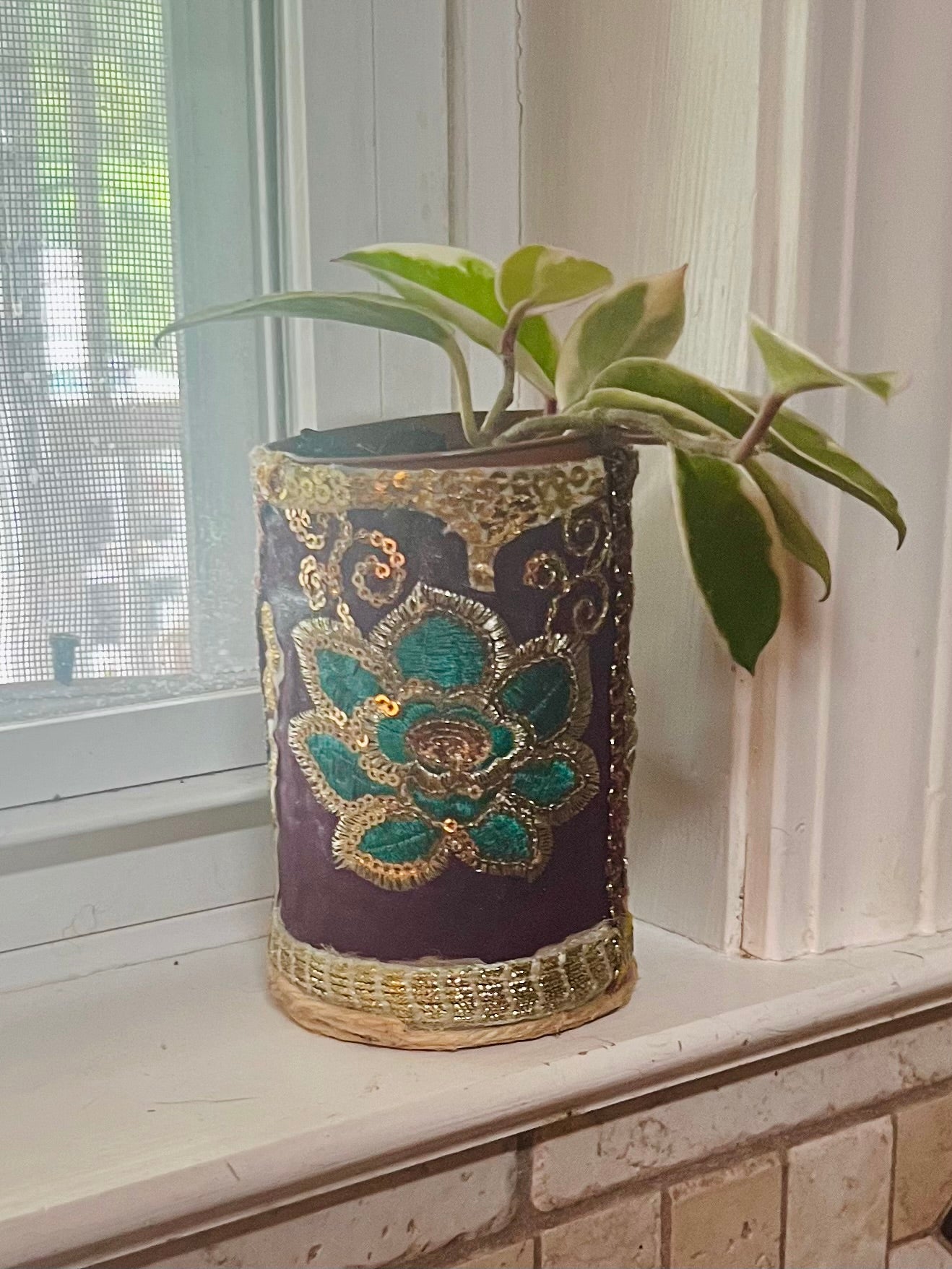 3” Hoya Krimson Queen + upcycled Planter