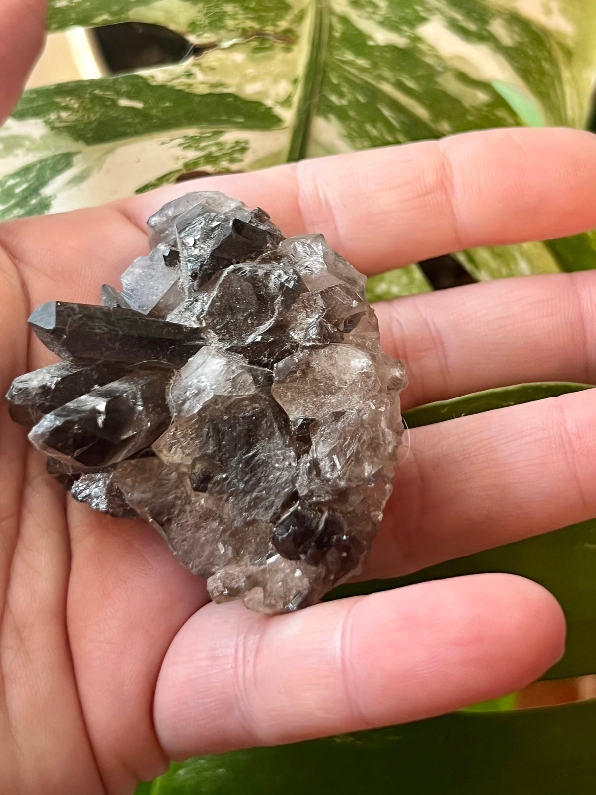 Smoky Quartz Crystal Clusters