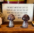Polished Amethyst Mushrooms