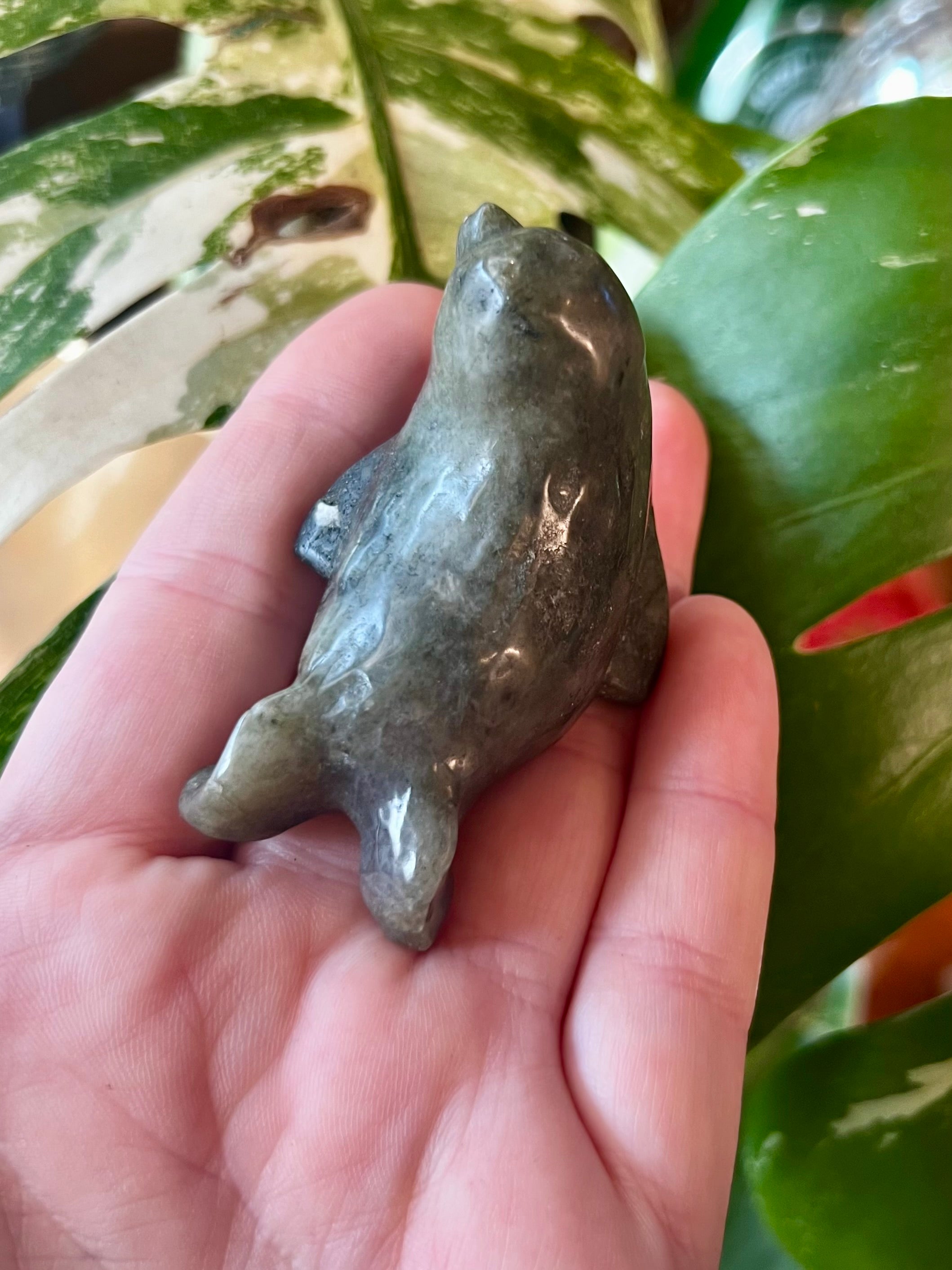 Labradorite Seal