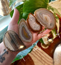 Striped Agate Magnet