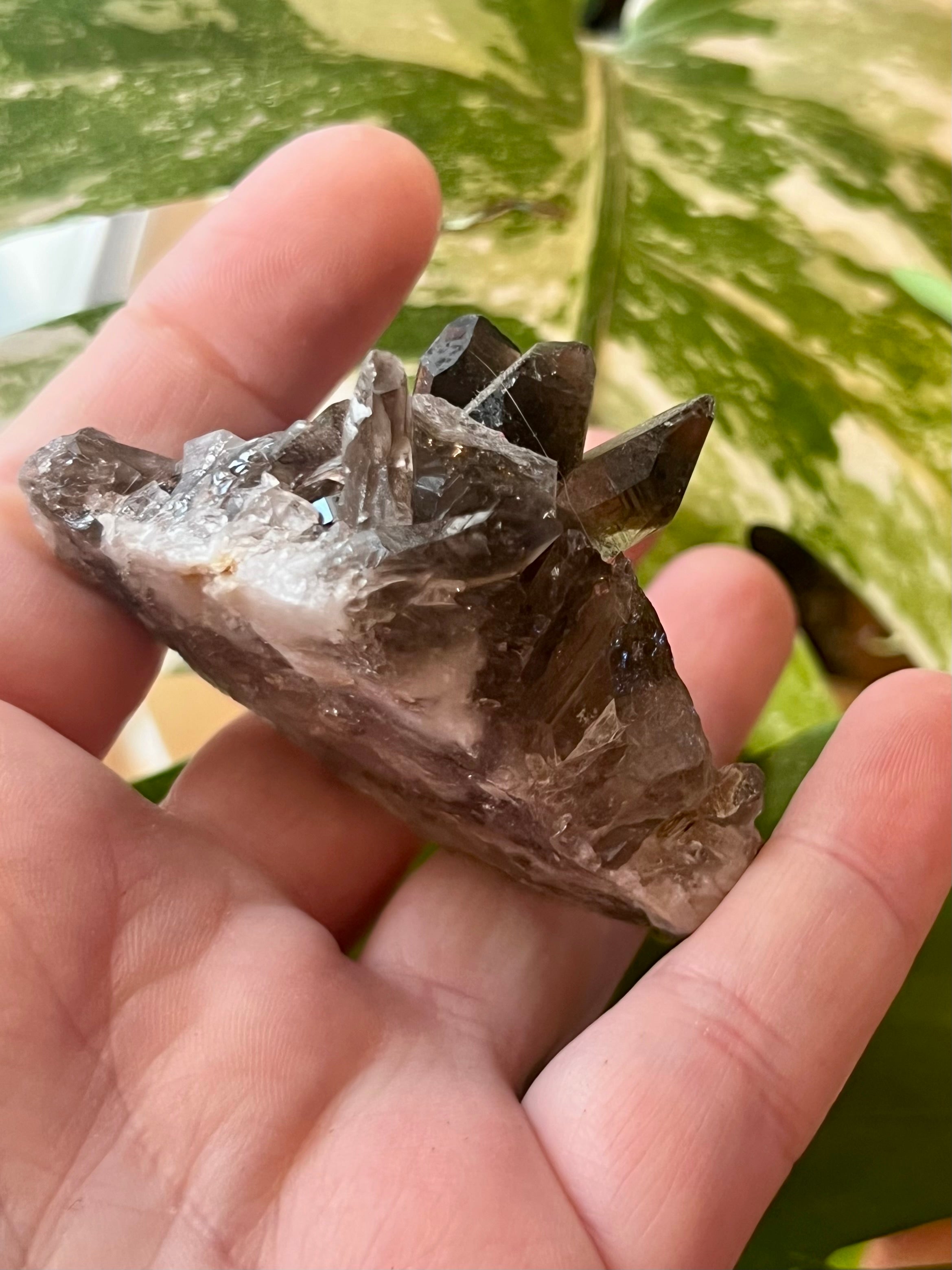 Smoky Quartz Crystal Clusters
