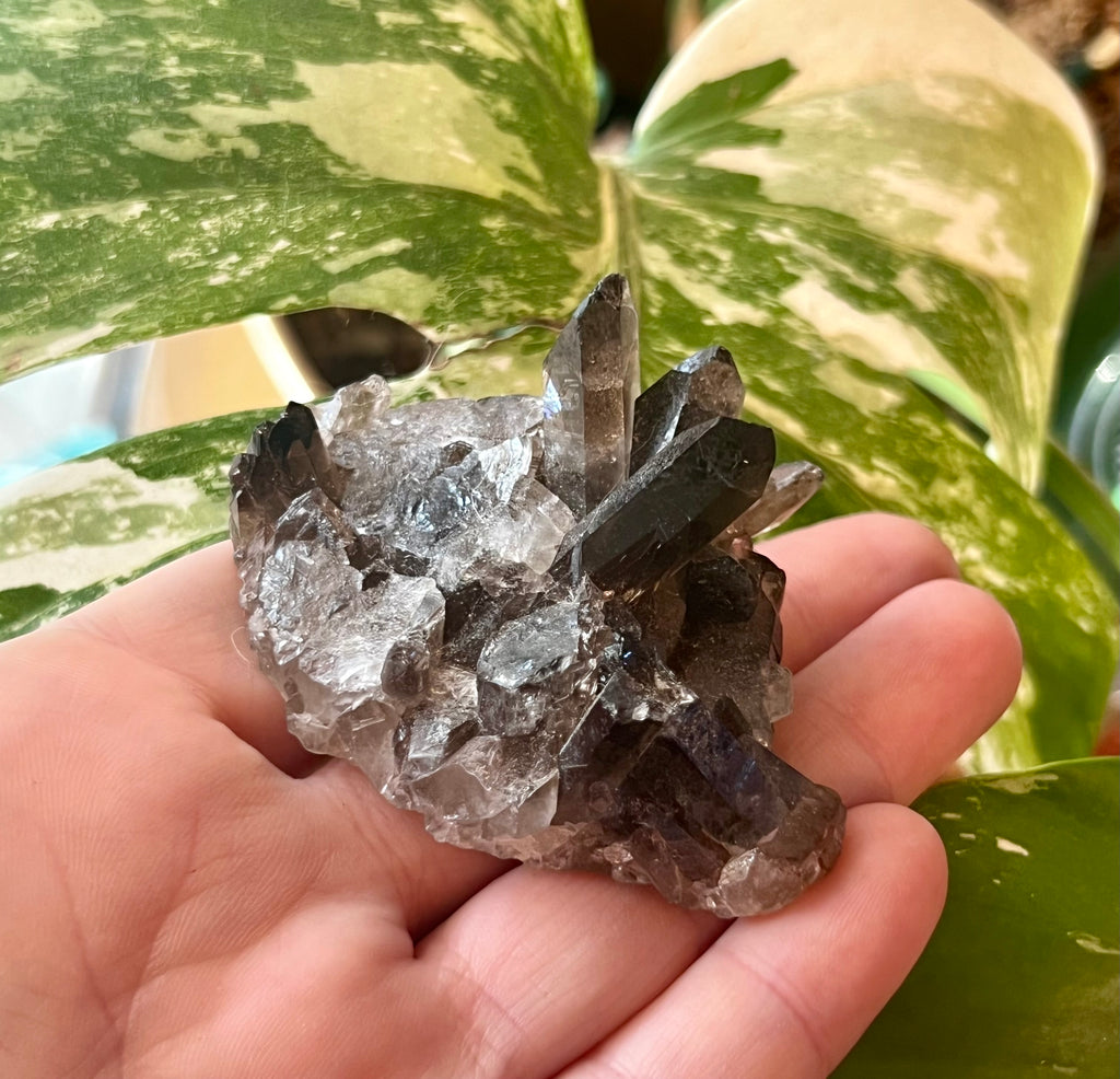 Smoky Quartz Crystal Clusters