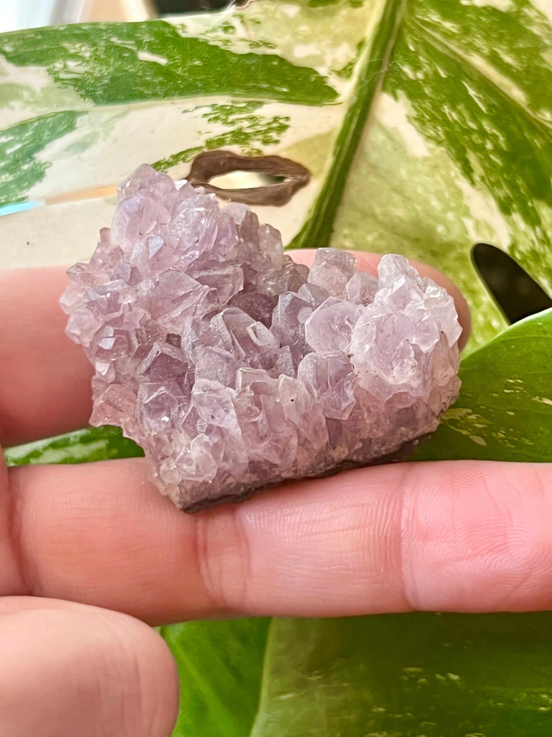 Raw Amethyst Druzy Clusters