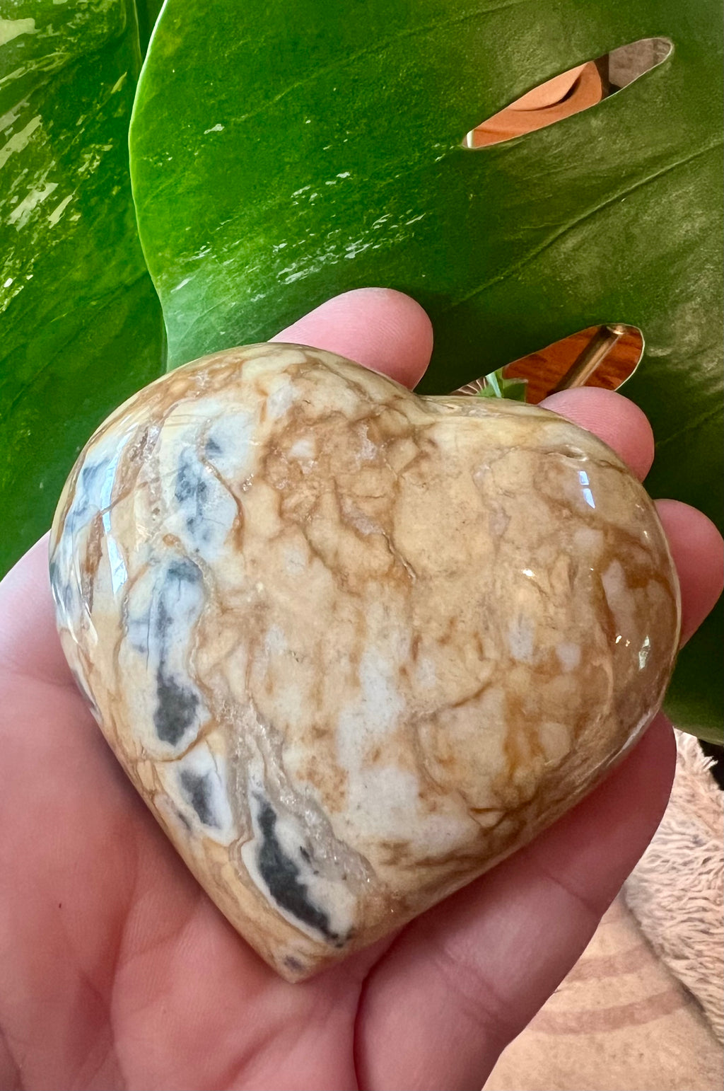 Zebradorite Heart
