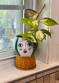 Hoya Tricolor + Planter
