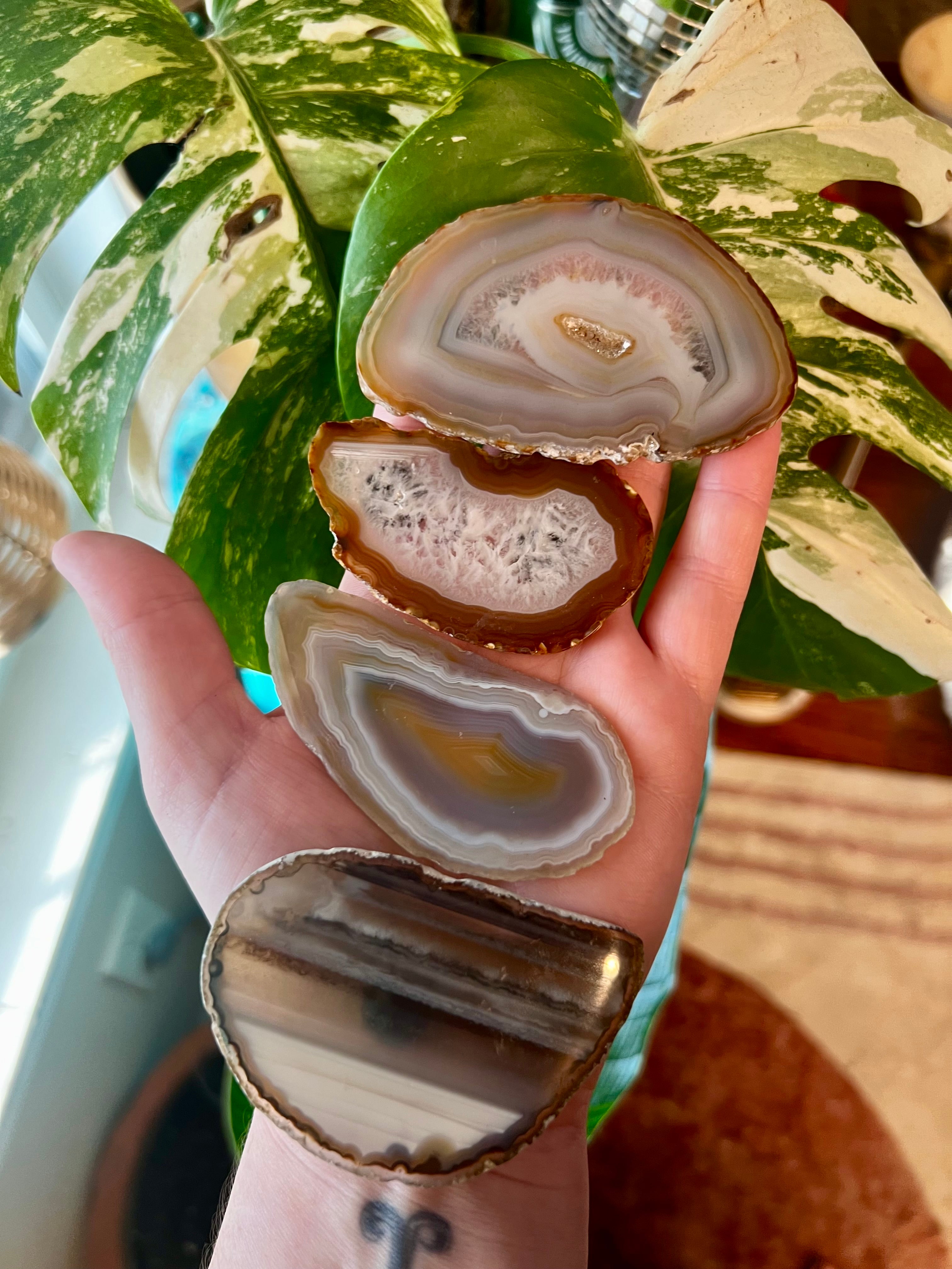 Striped Agate Magnet