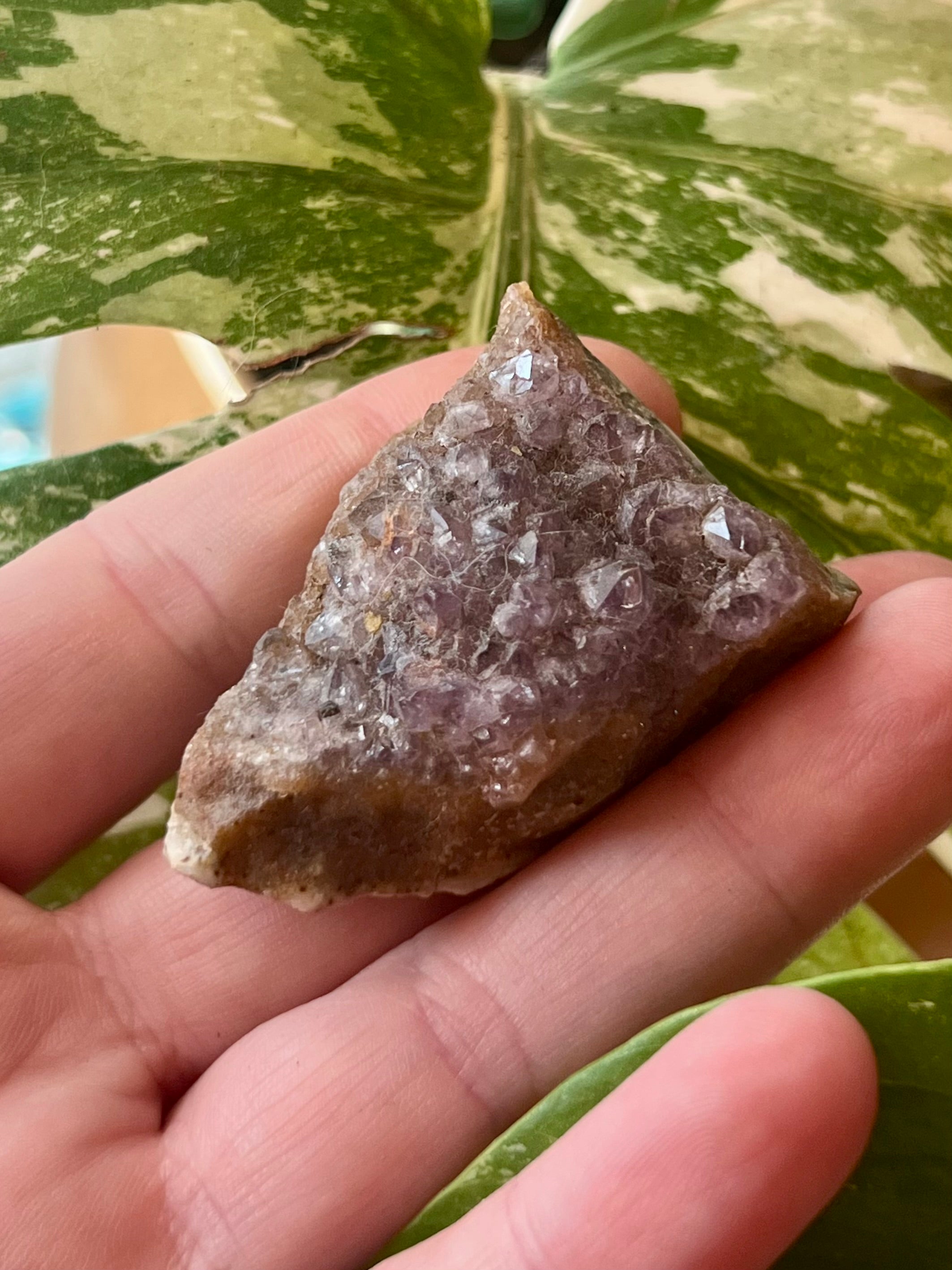 Raw Amethyst Druzy Clusters