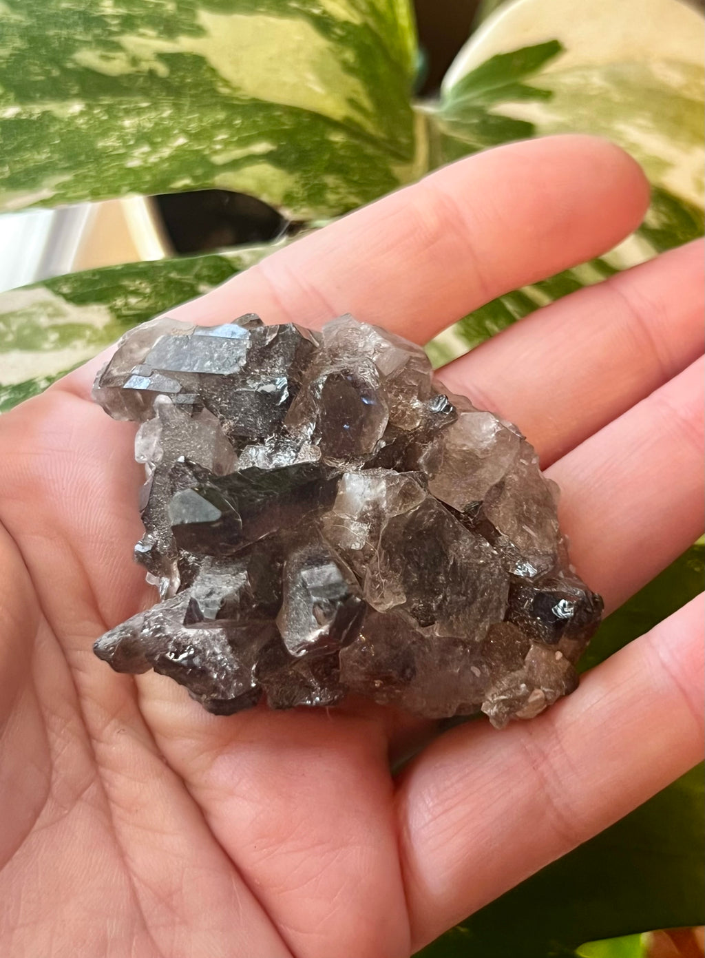 Smoky Quartz Crystal Clusters