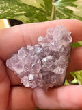 Raw Amethyst Druzy Clusters