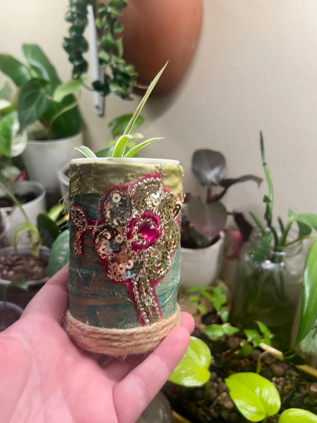2” Spider Plant + upcycled Planter