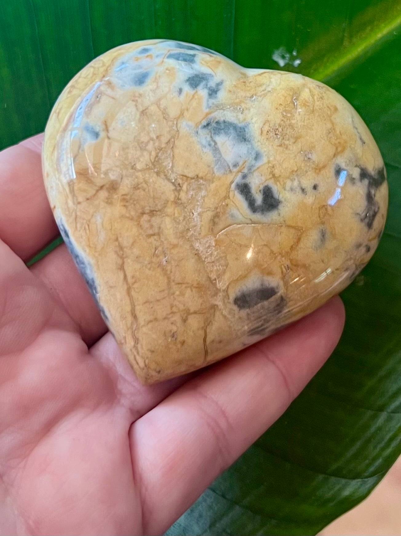 Zebradorite Heart