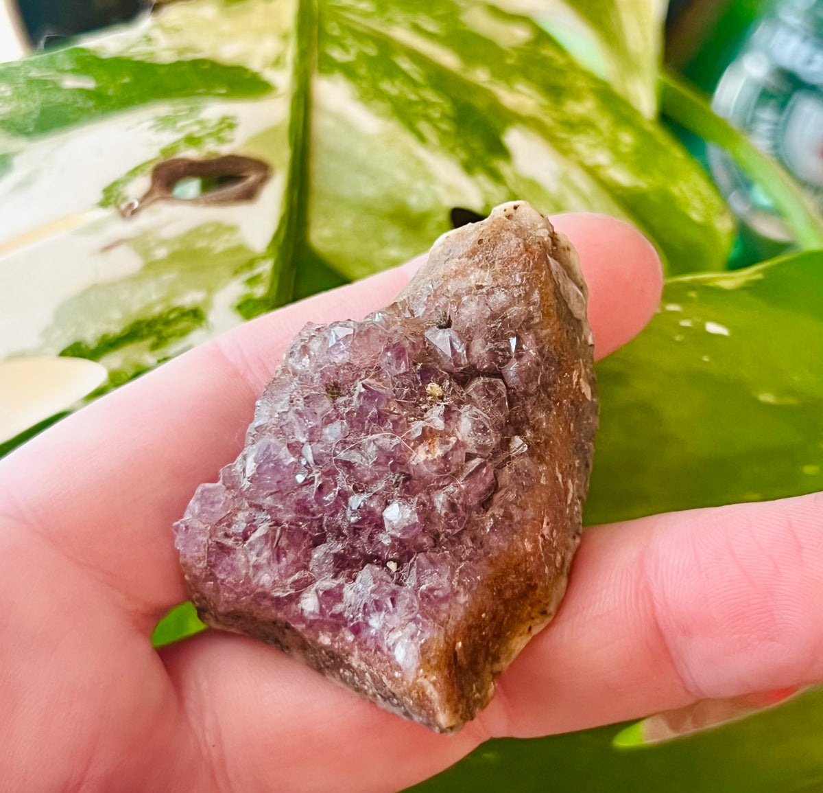 Raw Amethyst Druzy Clusters