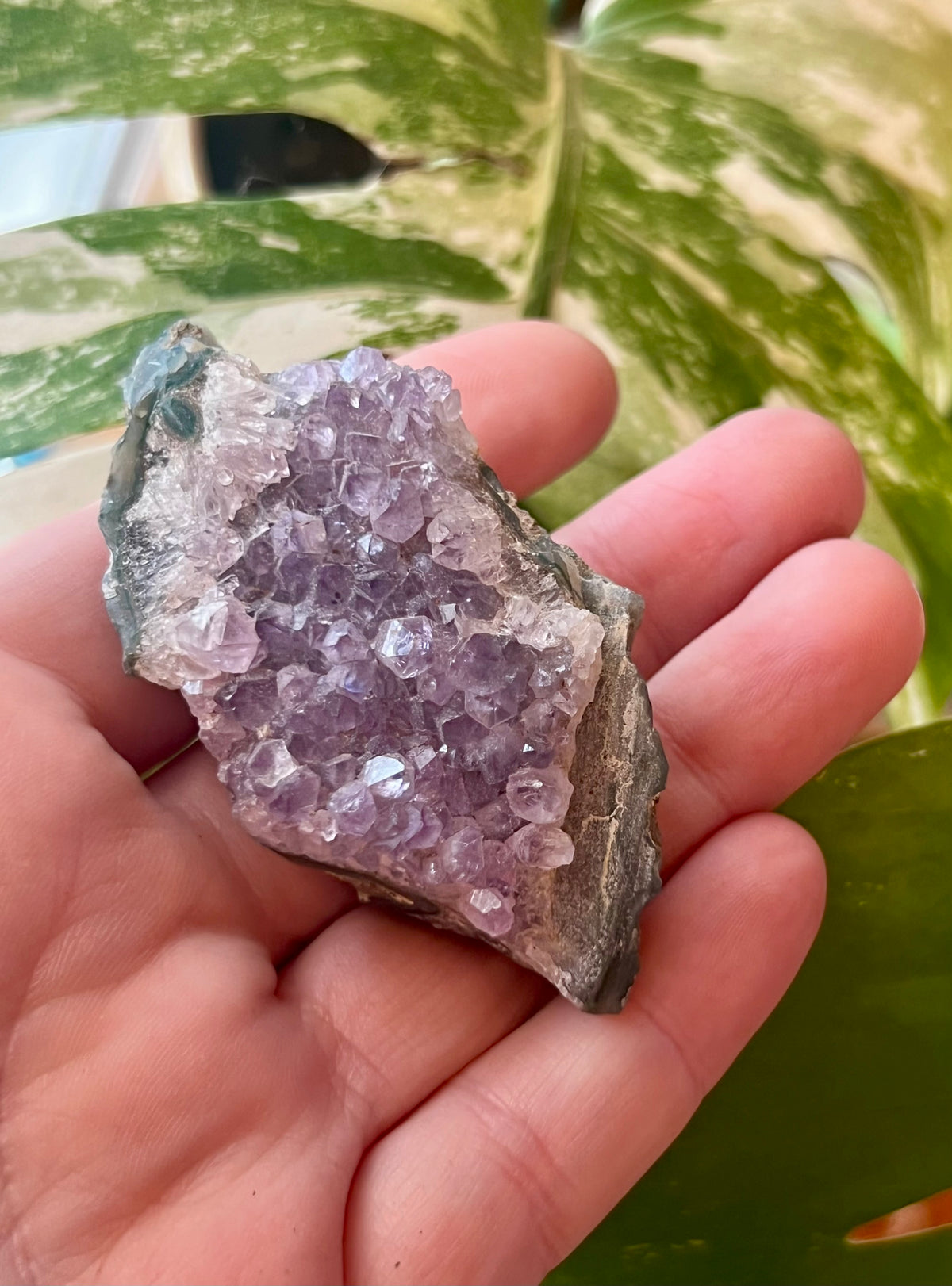 Raw Amethyst Druzy Clusters