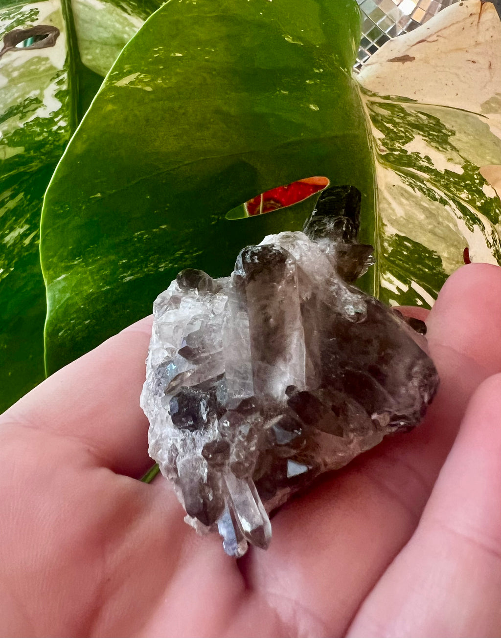 Smoky Quartz Crystal Clusters