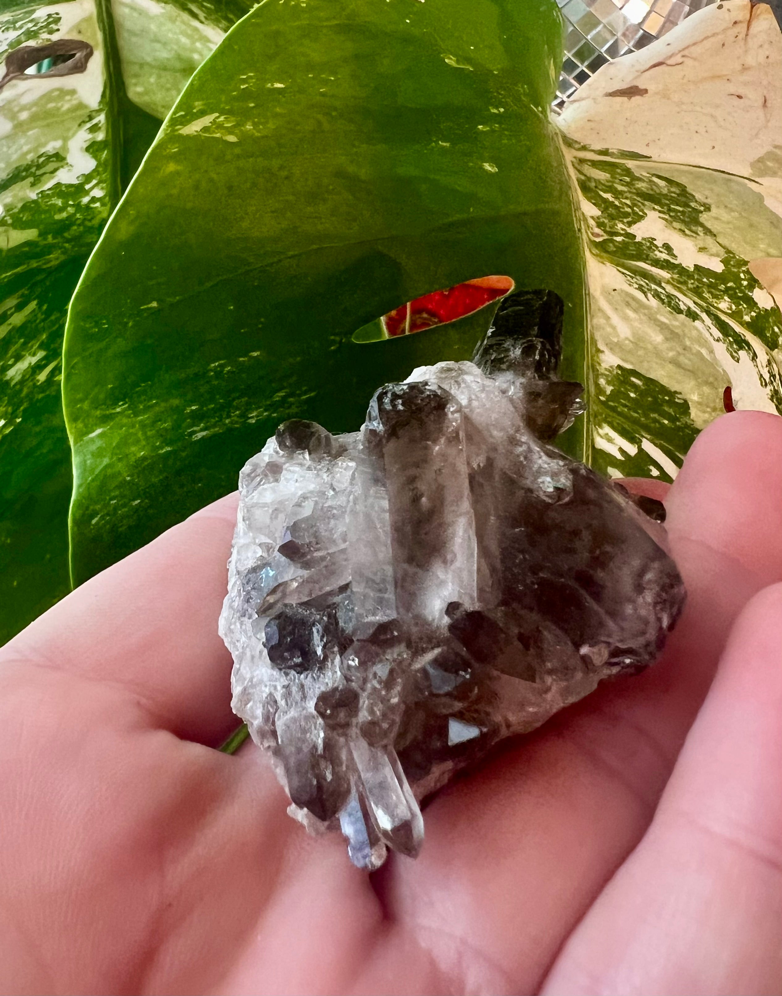 Smoky Quartz Crystal Clusters