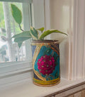 3” Hoya Krimson Queen + upcycled Planter