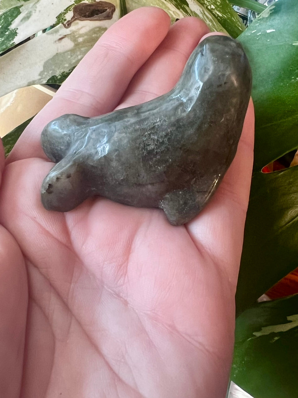 Labradorite Seal