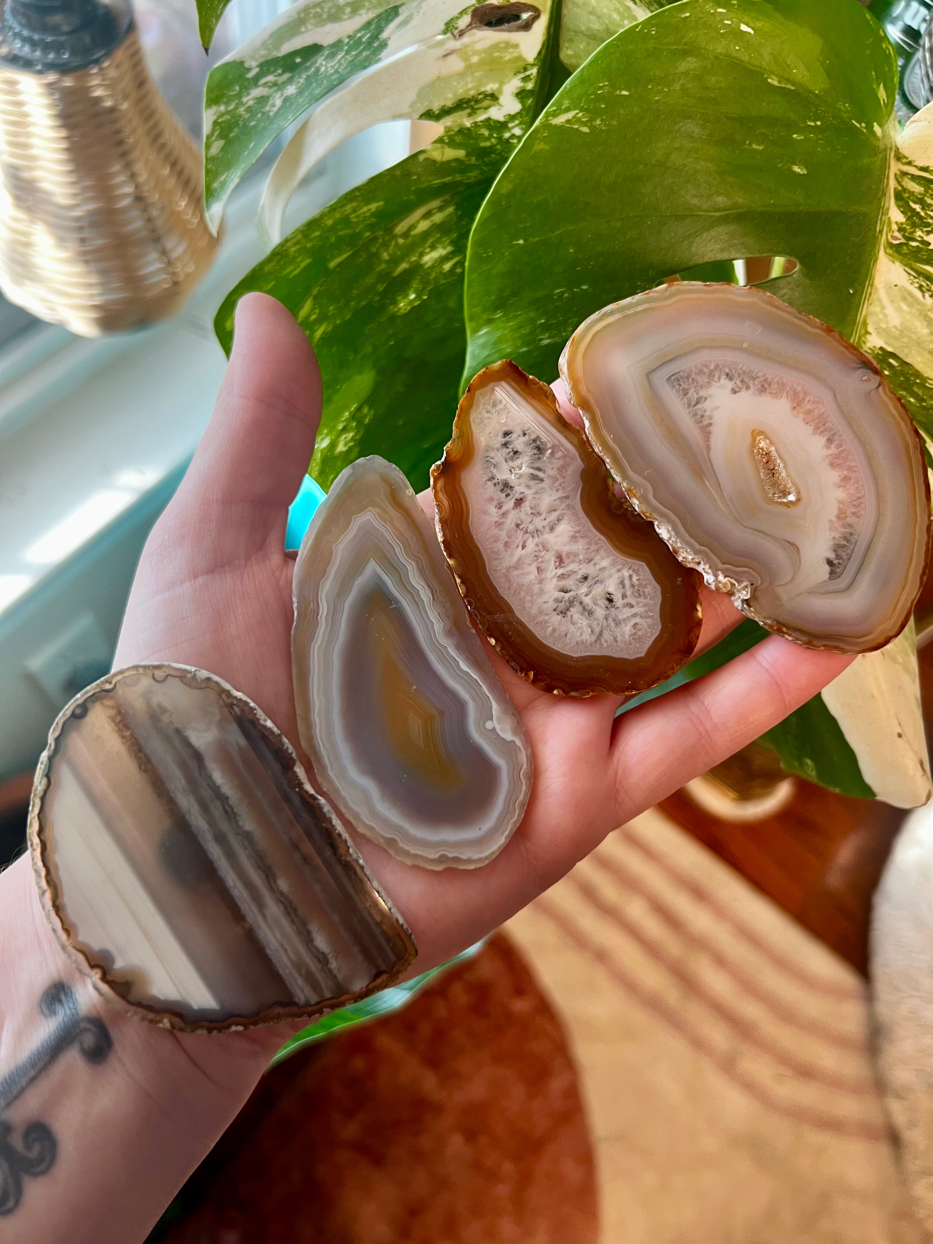 Striped Agate Magnet