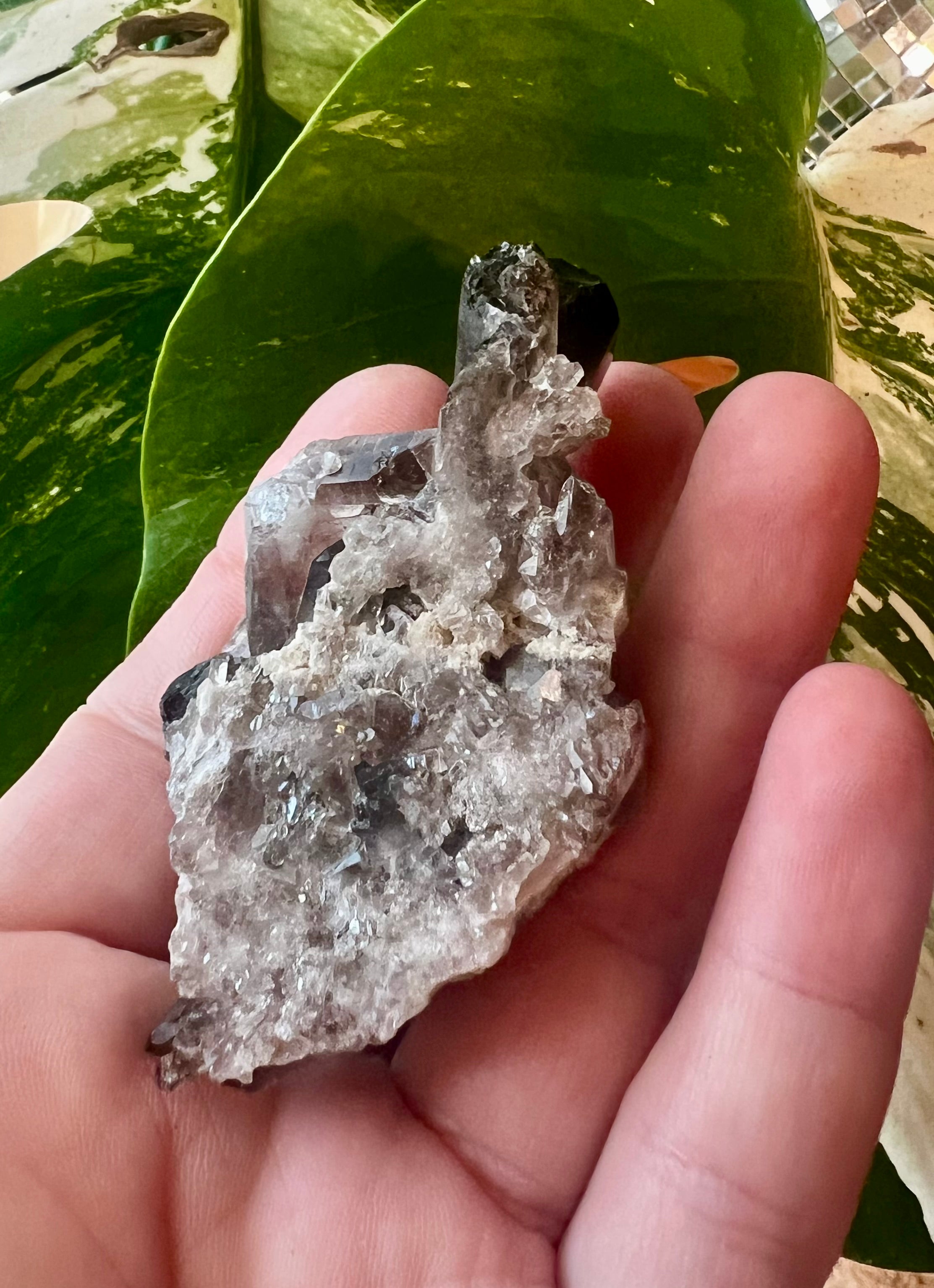 Smoky Quartz Crystal Clusters