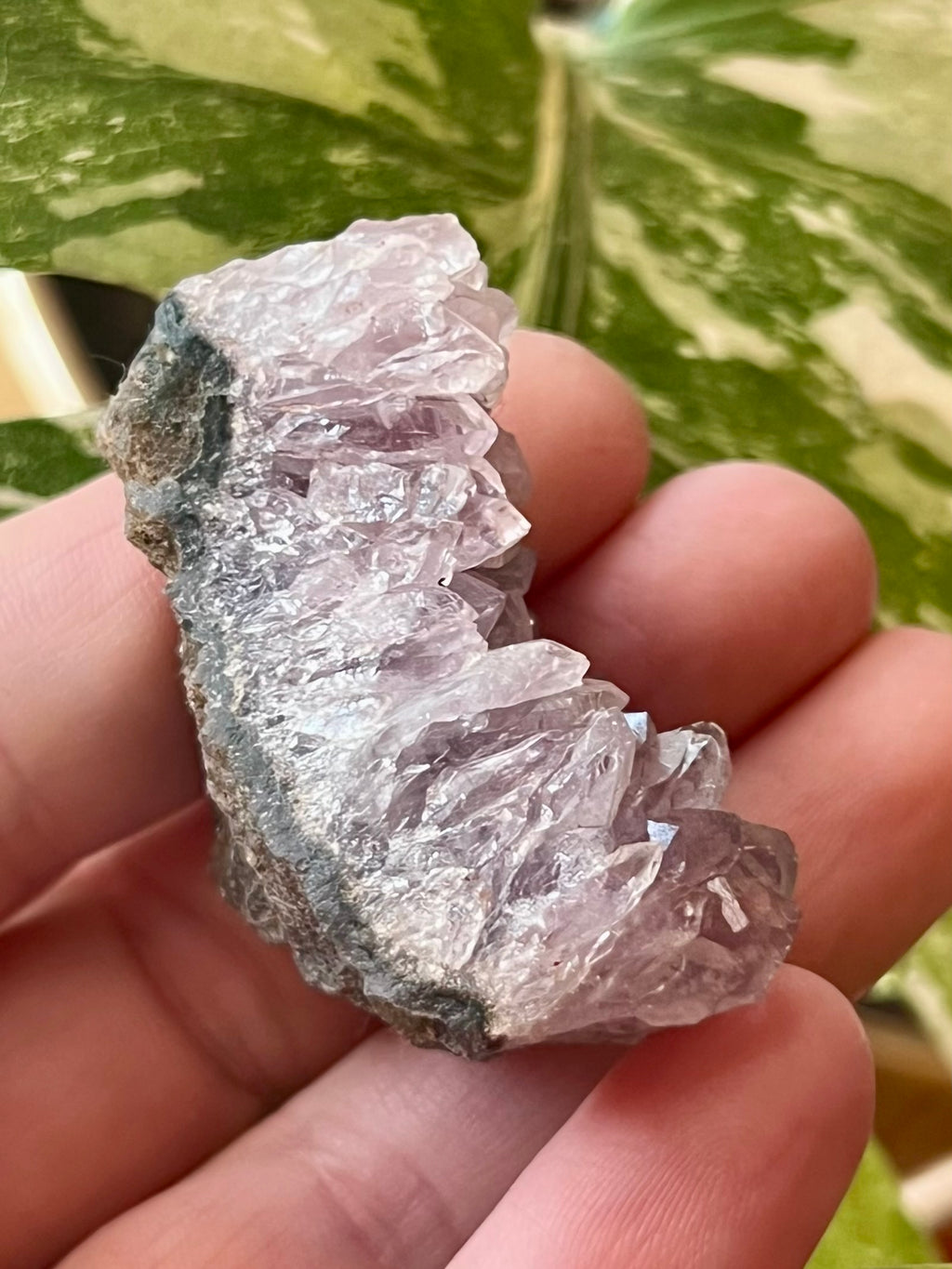 Raw Amethyst Druzy Clusters