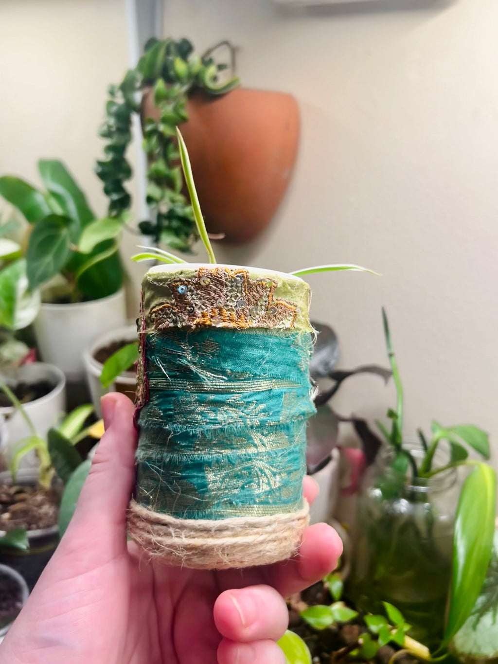 2” Spider Plant + upcycled Planter