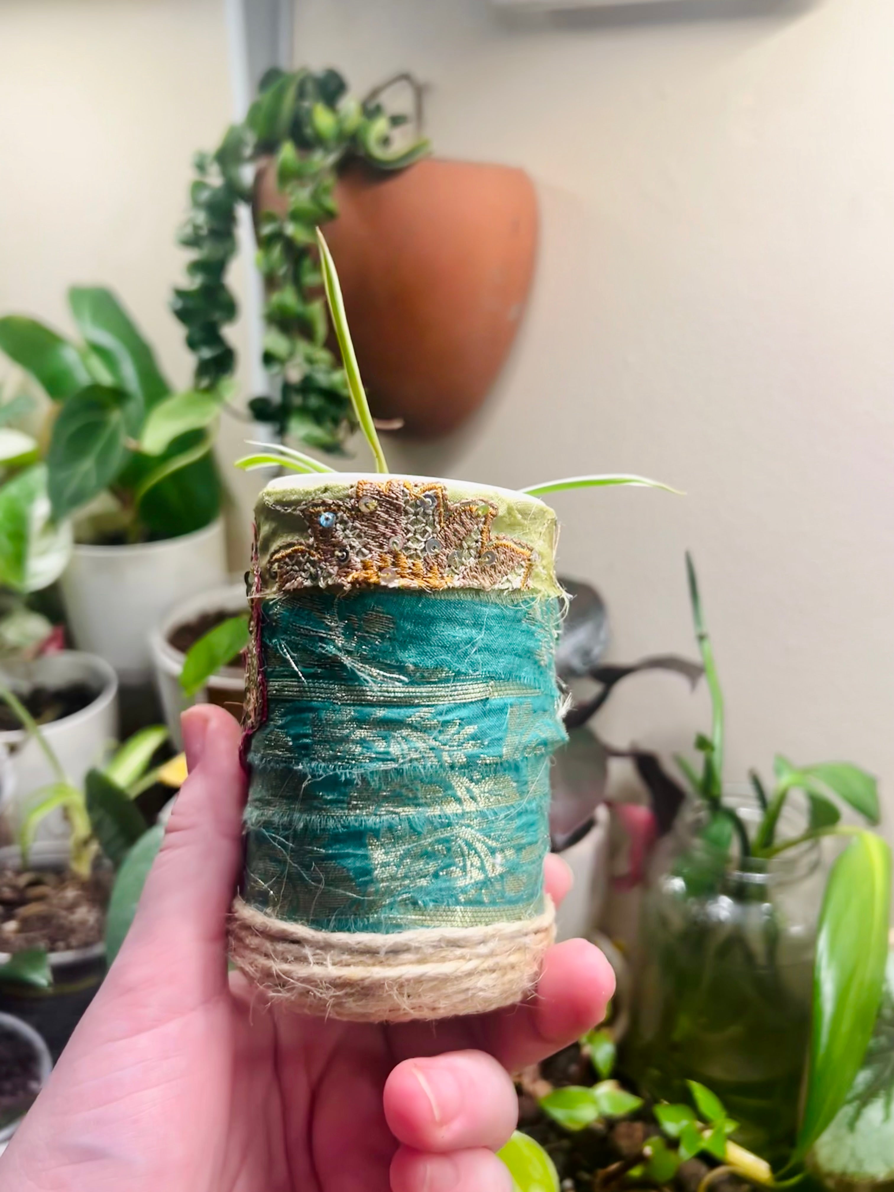 2” Spider Plant + upcycled Planter